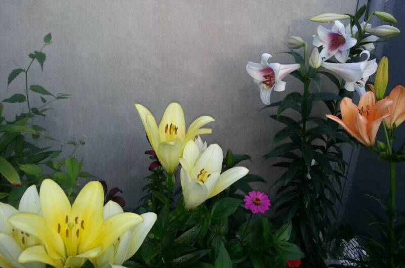 Гостевой дом на Школьной