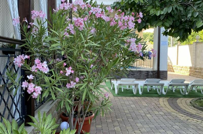 Этаж дома под ключ от 6-9 человек