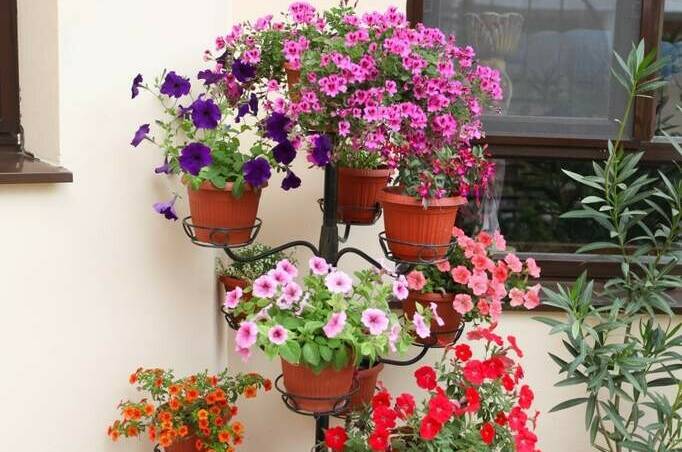 Гостевой дом «Приветливый»