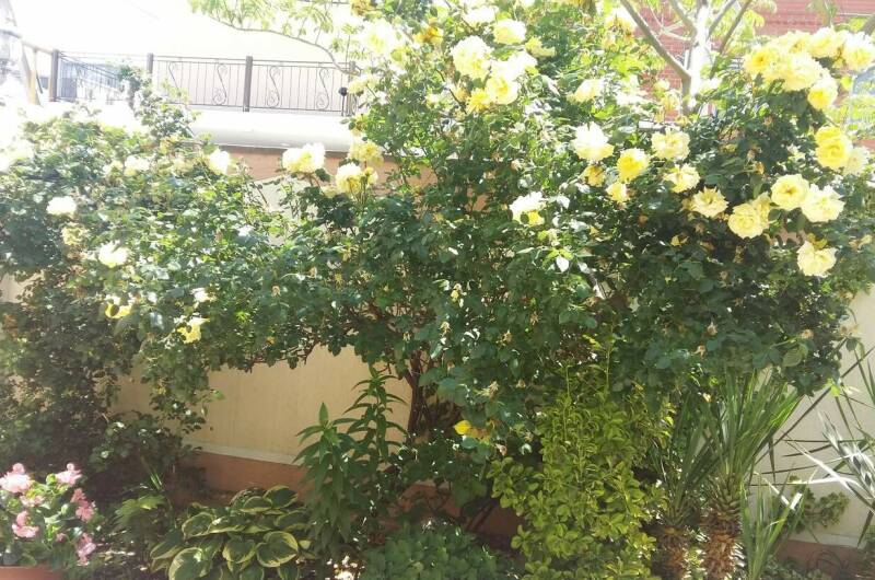 Гостевой дом «Приветливый»