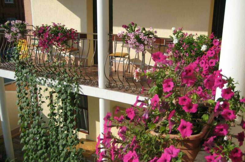 Гостевой дом «Приветливый»