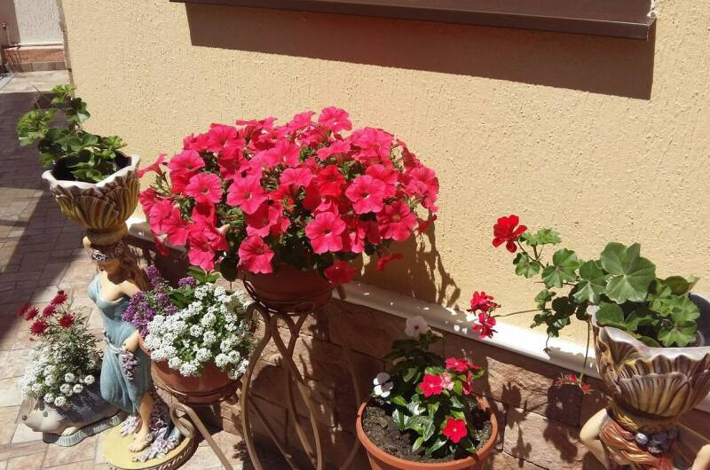 Гостевой дом «Приветливый»