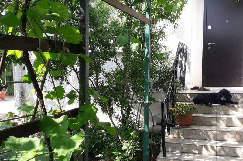 Гостевой дом «Добрый»