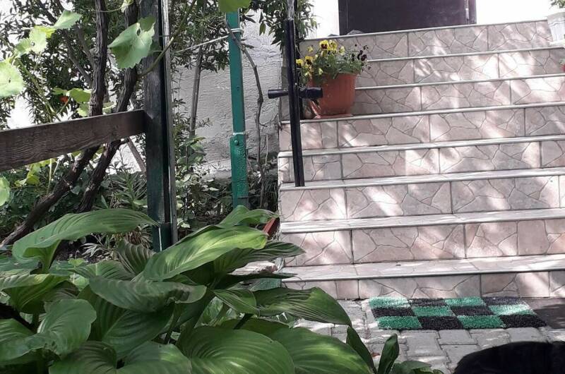 Гостевой дом «Добрый»