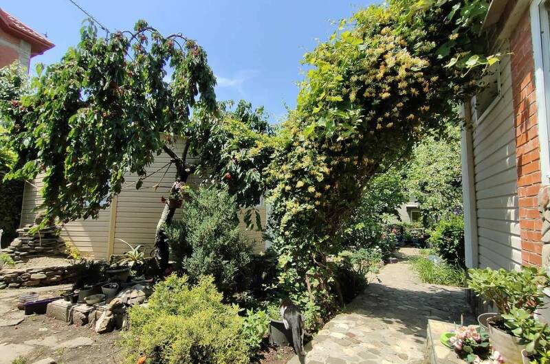 Гостевой дом «Алла-Роза»