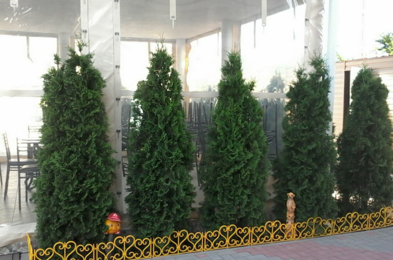 Гостевой дом «Рандеву»