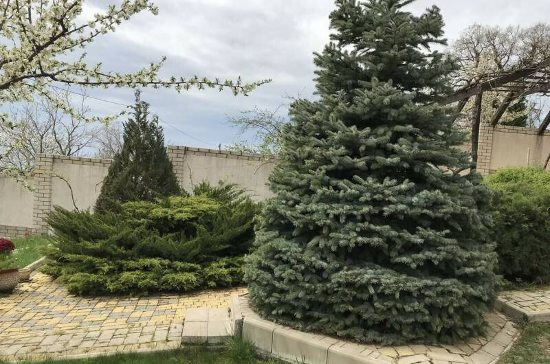 Дача под ключ «Испания»