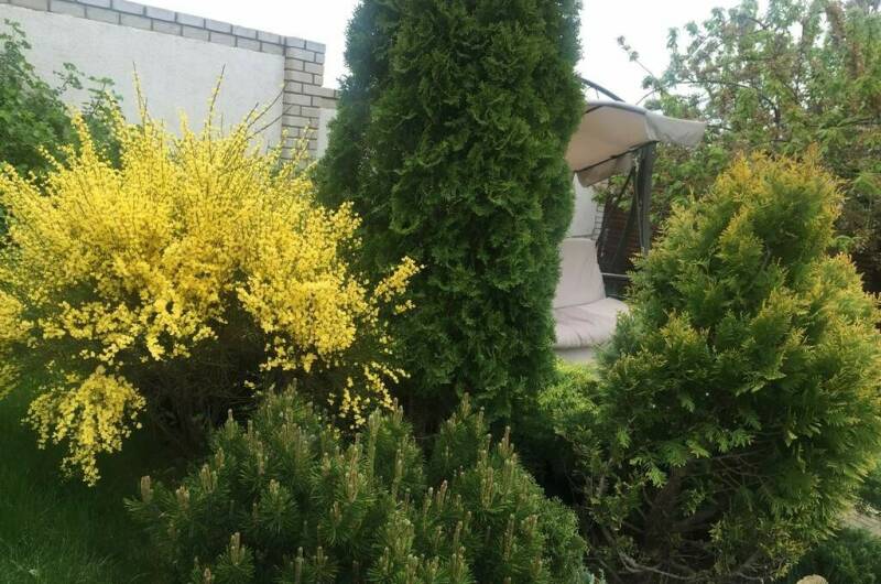 Дача под ключ «Испания»