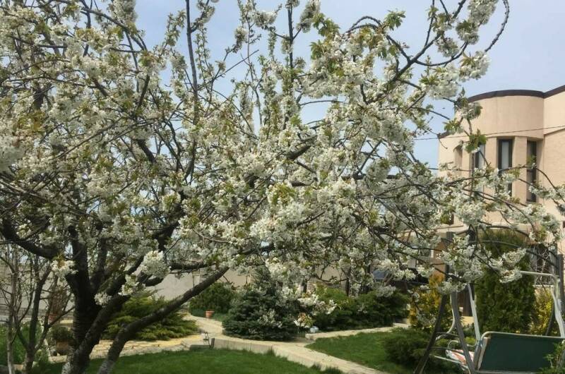 Дача под ключ «Испания»