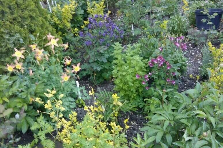 Частный сектор «Афродита»