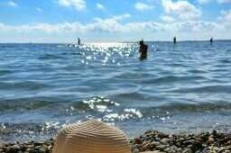 Гостевой дом «Абсолют»