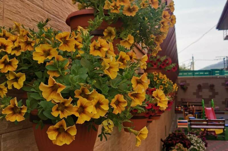 Гостевой дом «Абсолют»