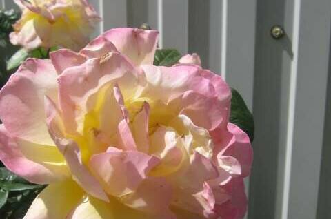 Частный дом «Эдем»