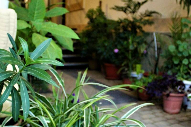 Гостевой дом «Афродита»