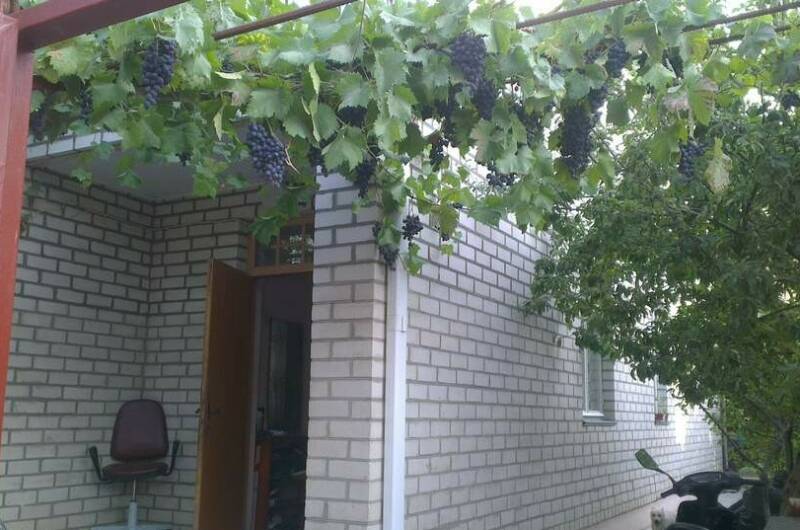 Гостевой дом «Софья»