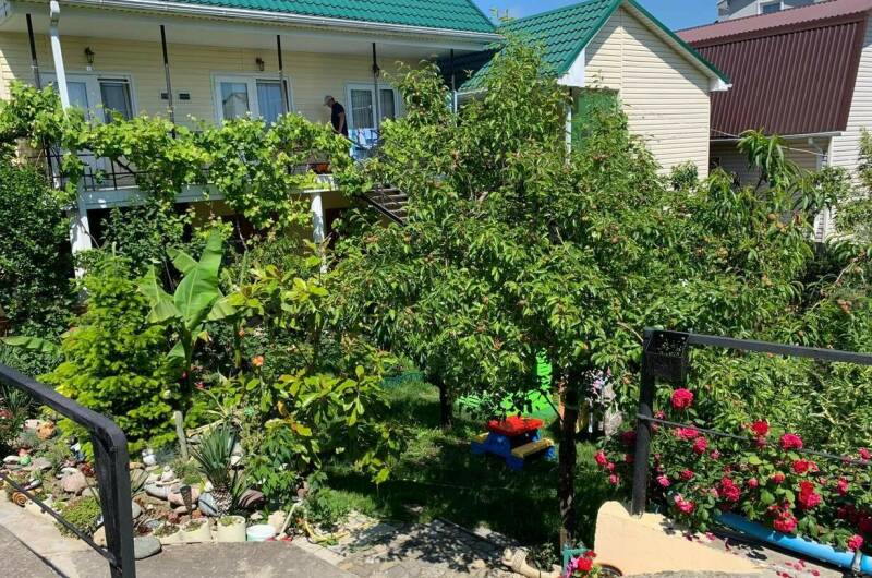 Гостевой дом «Чайка»