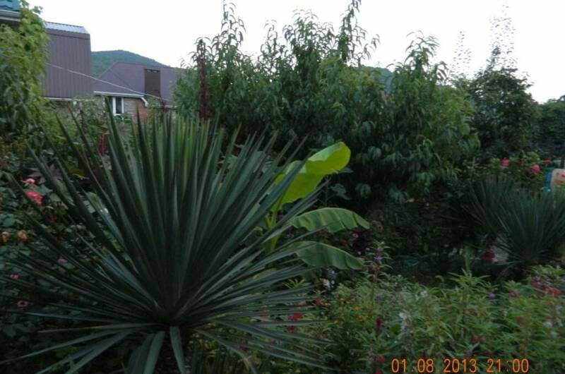 Гостевой дом «Чайка»