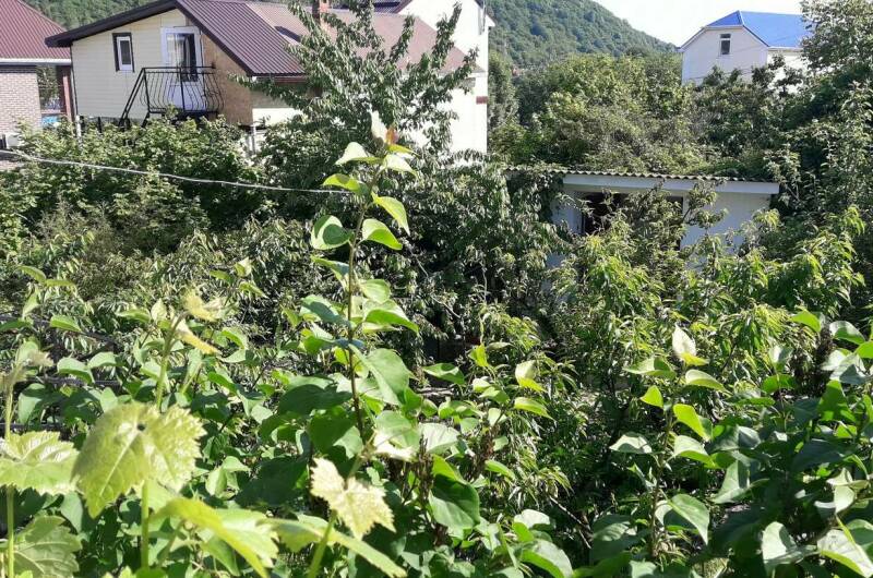 Гостевой дом «Чайка»