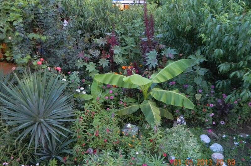 Гостевой дом «Чайка»