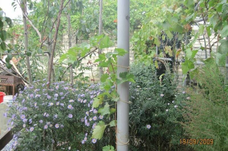 Частный сектор «Бегемот»