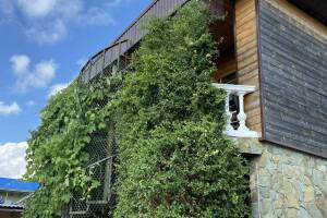 Изображение Гостиница «Колибри» #4