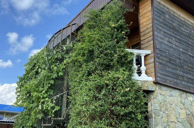 Гостиница «Колибри»