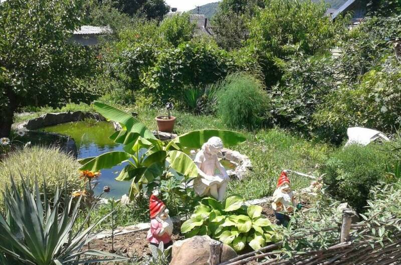 Гостиница «Колибри»