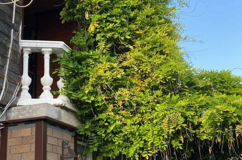 Гостиница «Колибри»