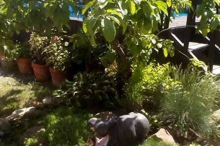 Гостевой двор «Семейная гавань»