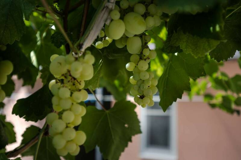 Гостевой дом «У моря»