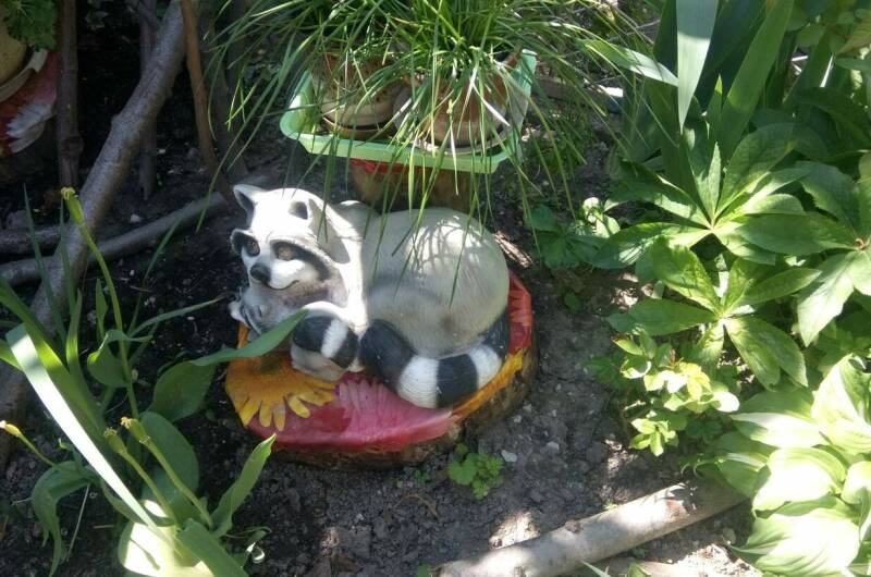 Гостевой дом «У Даши»