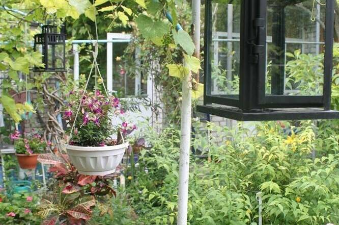 Гостевой дом «У Даши»