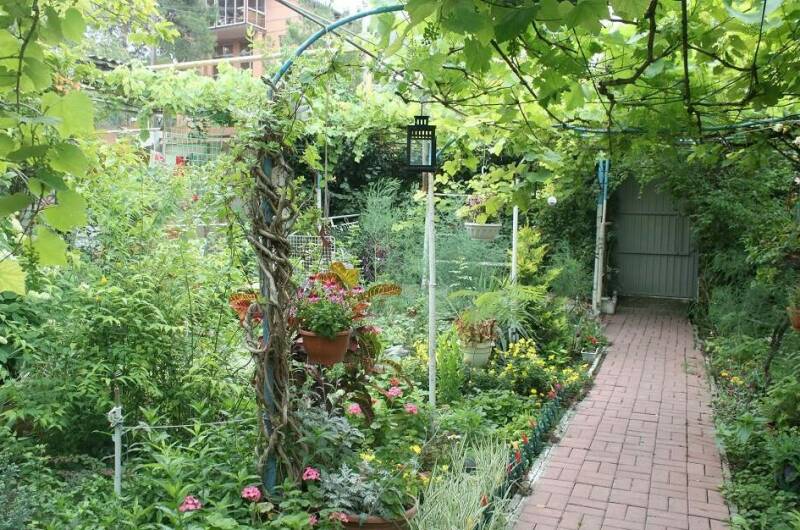 Гостевой дом «У Даши»