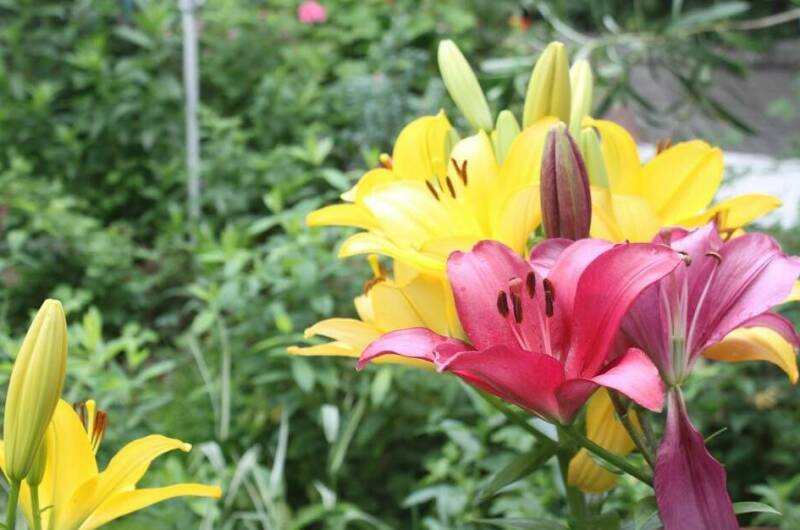 Гостевой дом «У Даши»