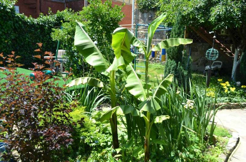 Частный дом «Лоза»