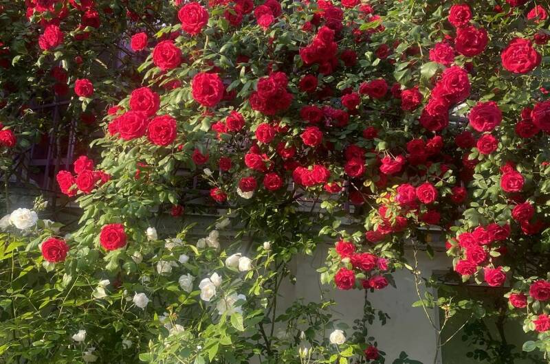 Гостевой дом на Октябрьской