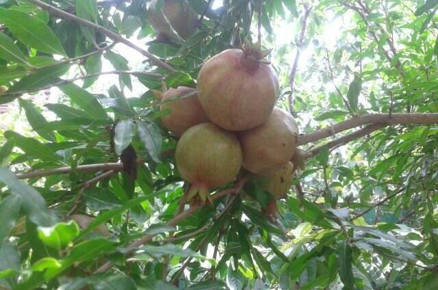 Гостевой дом на Октябрьской