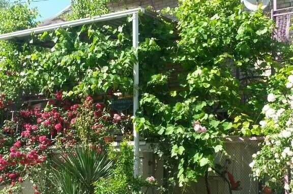 Гостевой дом на Октябрьской