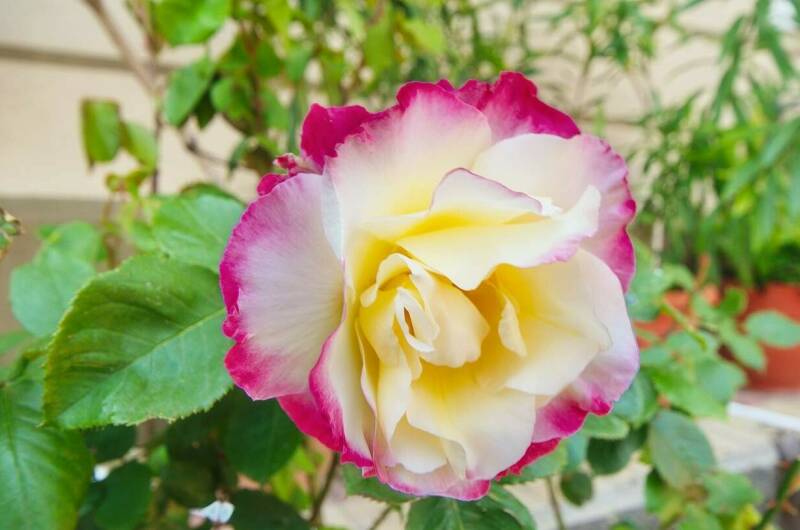 Гостевой дом «Людмила»