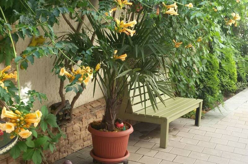 Гостевой дом «Белоснежка»