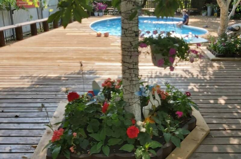 Гостевой дом «Персиковый сад»