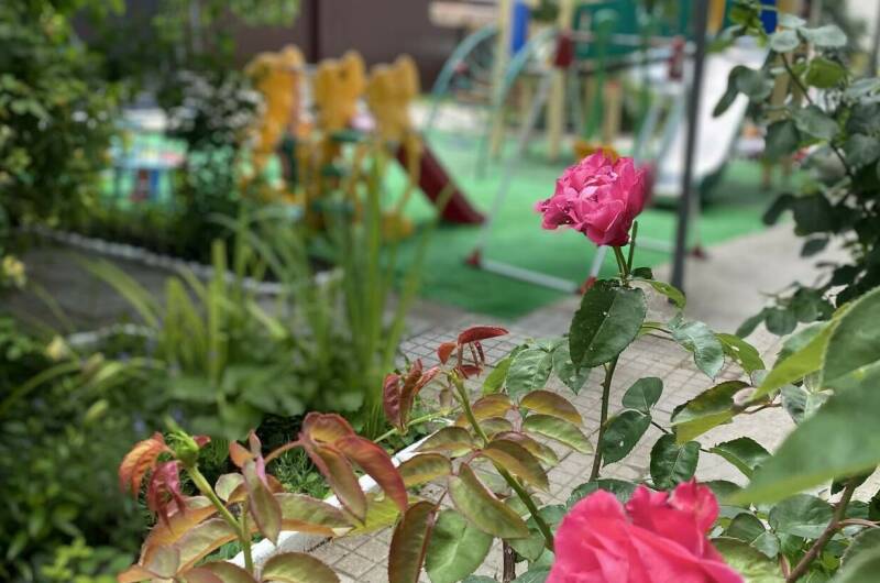 Гостевой дом «Кириакия»