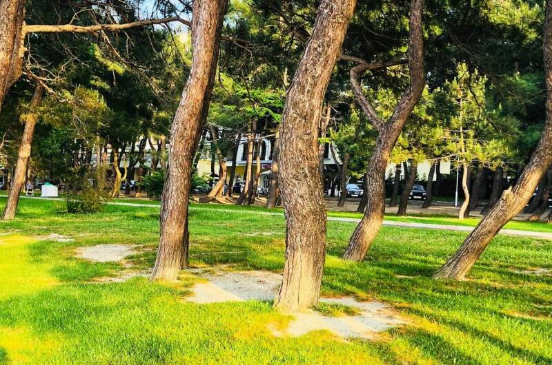 Гостевой дом «Русалка»