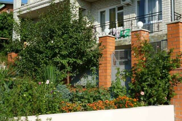 Гостевой дом «Азалия»