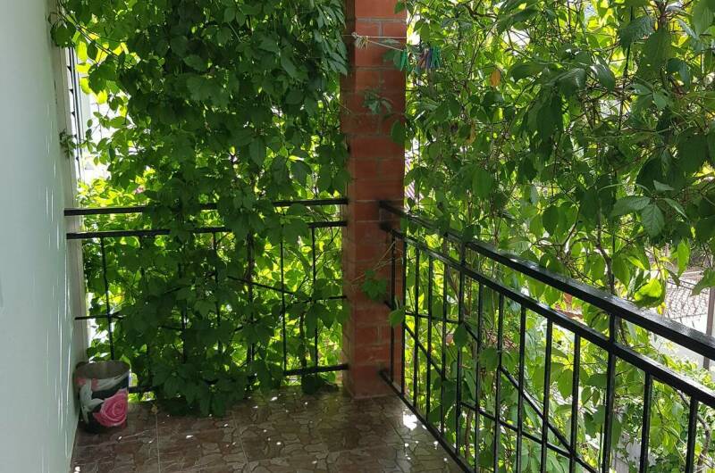 Гостевой дом «У Андрея»