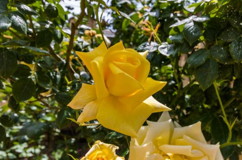 Гостевой дом «Голубая бухта»