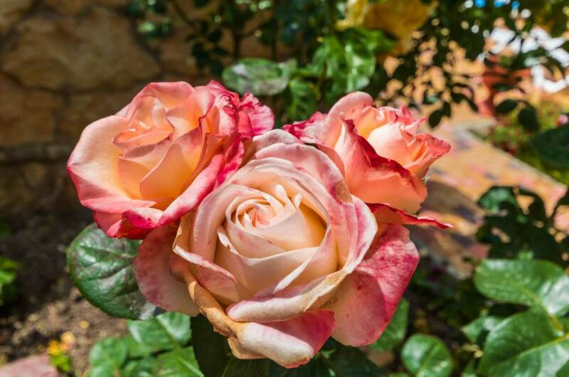 Гостевой дом «Голубая бухта»