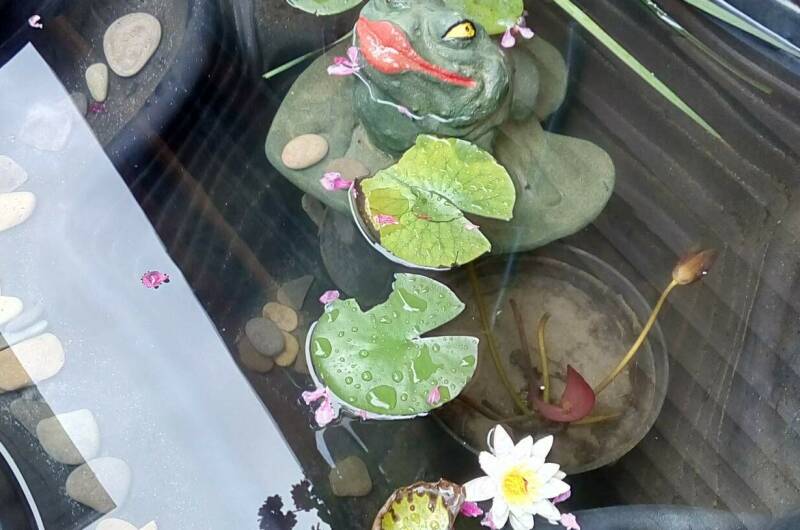 Гостевые комнаты «Фламинго»