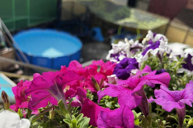 Гостевые комнаты «Антонида»