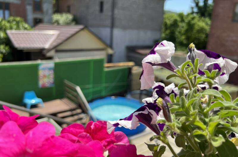 Гостевые комнаты «Антонида»